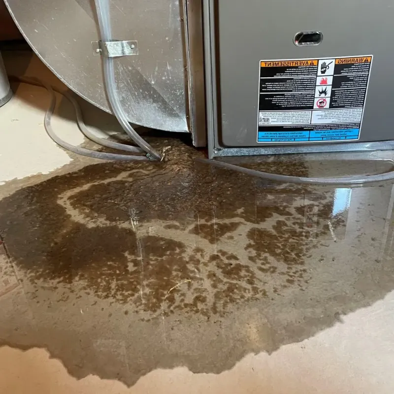 Pipe Burst and Leak Restoration in Central Falls, RI