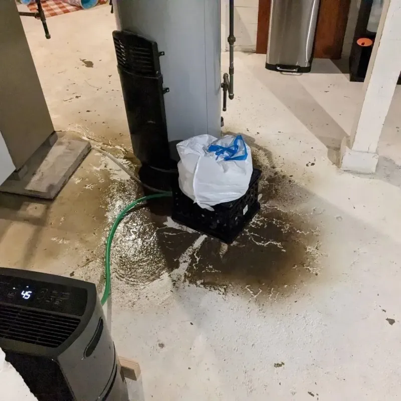 Sewage Backup Cleanup Service in Central Falls, RI